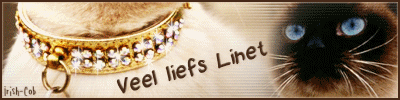 IC_Kitty001-Linet.gif - 41kb
