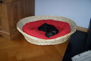 lady-mand.JPG - 19kb