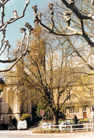 Scan0509.jpg