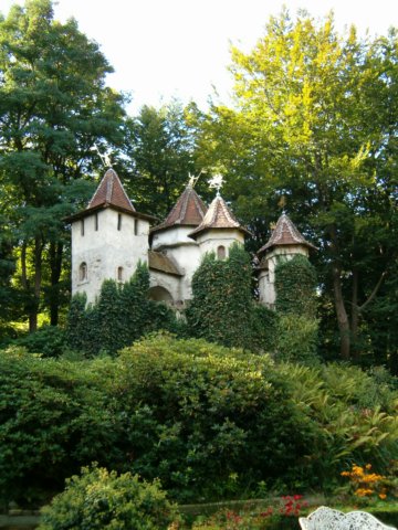 HPIM0185.JPG