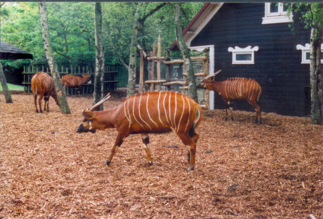 Scan0456.jpg