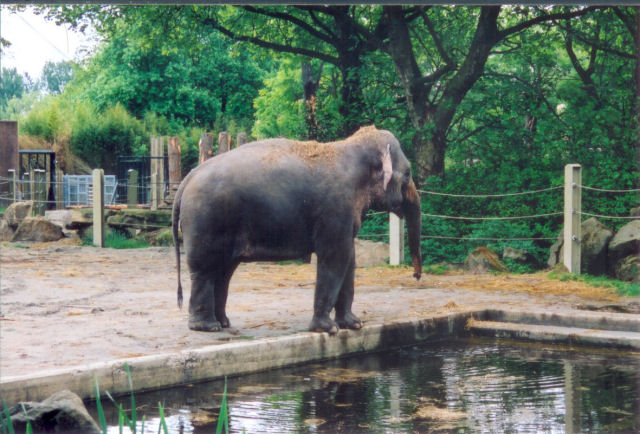 Scan0457.jpg