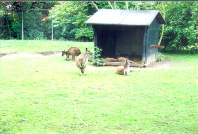 Scan0458.jpg