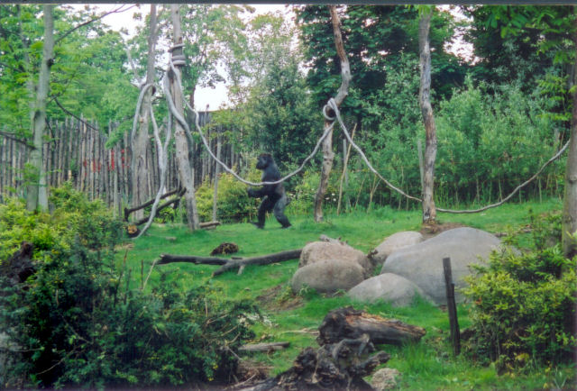 Scan0460.jpg