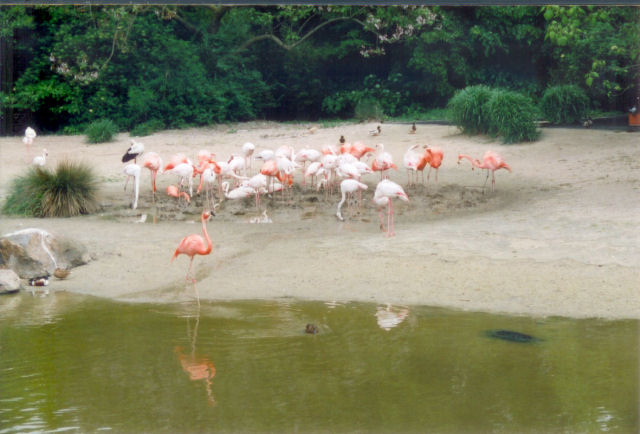 Scan0462.jpg