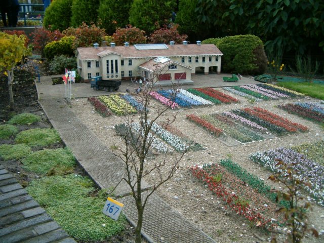 HPIM0609.JPG