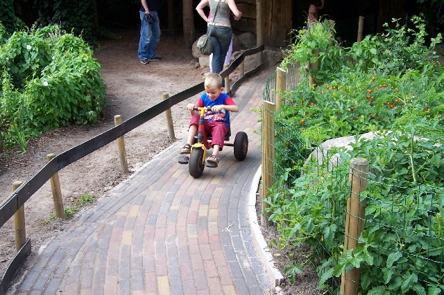 100_1246.jpg