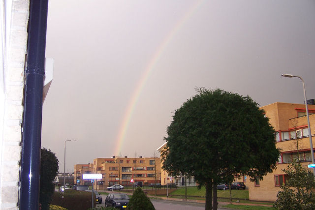 100_1516.jpg