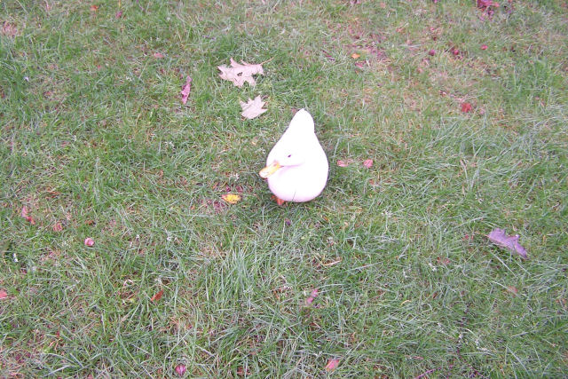 20070831_025.jpg