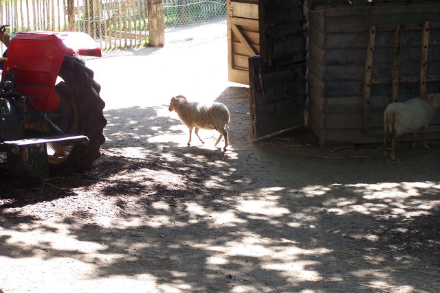 20070831_046.jpg