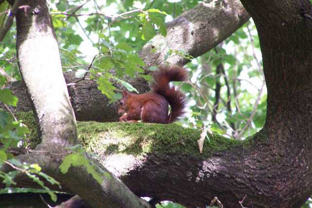 20070831_055.jpg
