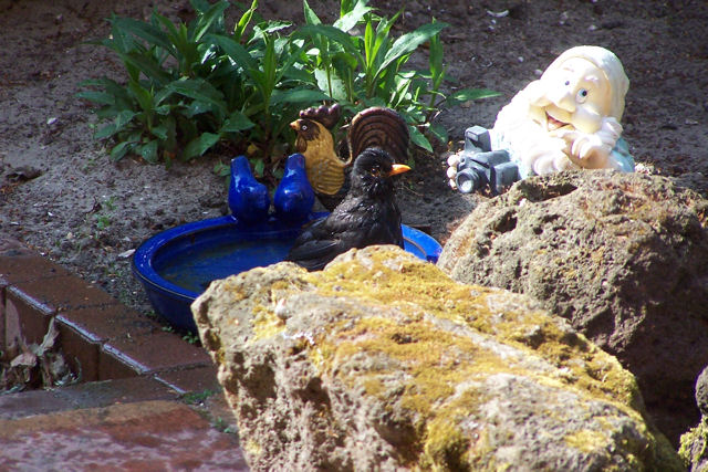 20080507_002.jpg