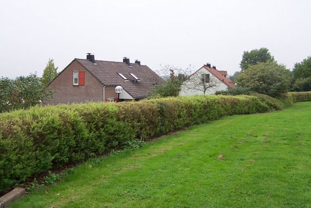 20080829_032.jpg