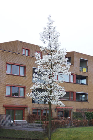 100_2105.JPG